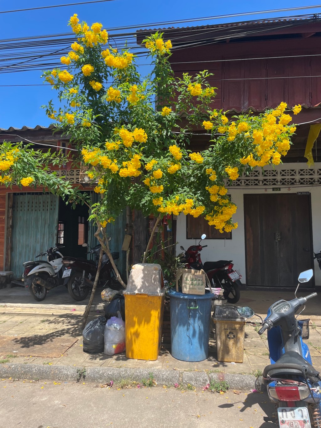 Die Altstadt und der&nbsp;Hummer